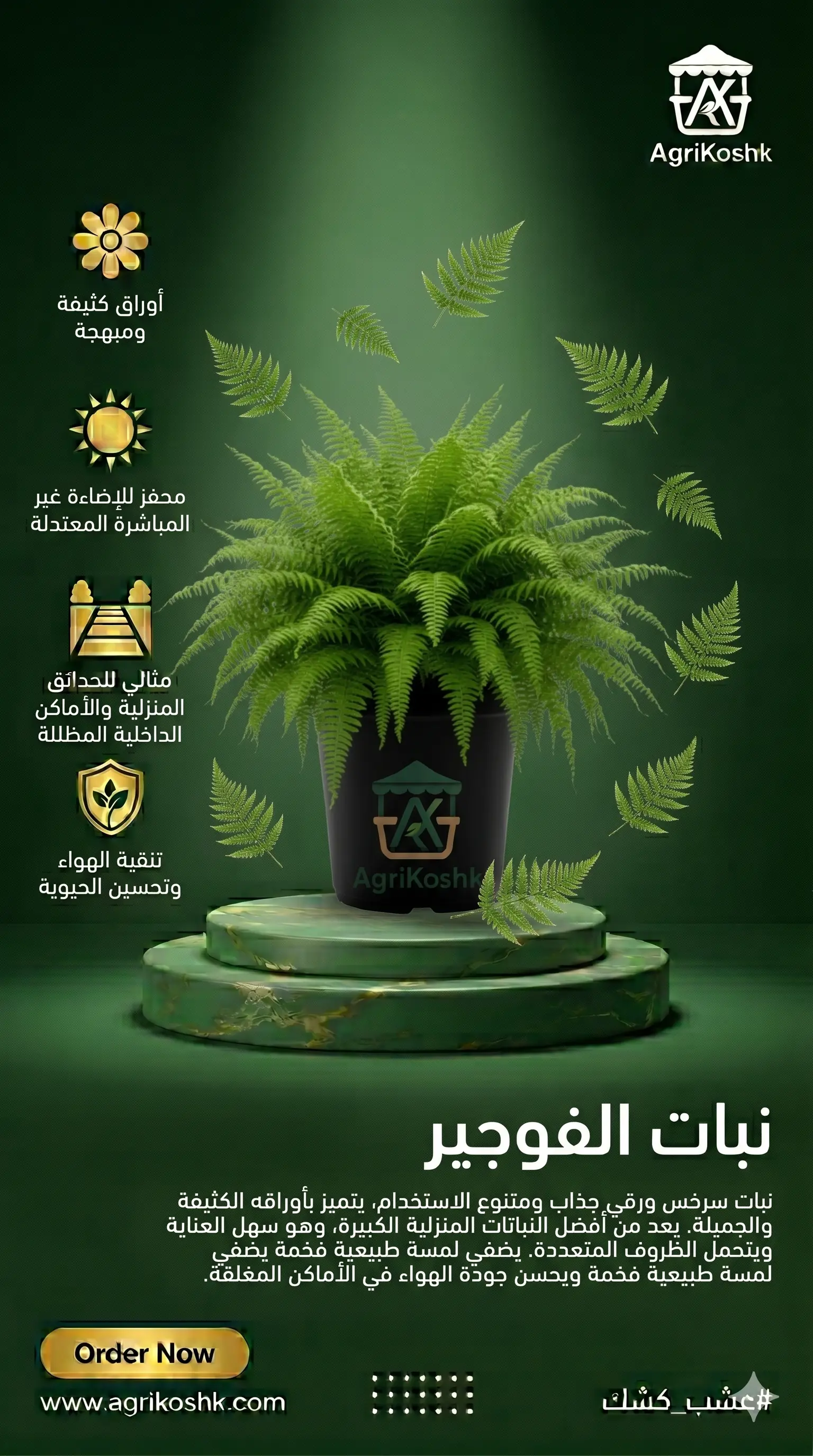 شتلات نبات الفوجير الفاخر (سرخس بوسطن) - شلال الخضرة الاستوائية المتهدل ومنقي الهواء الفائق من "أجري كشك"
