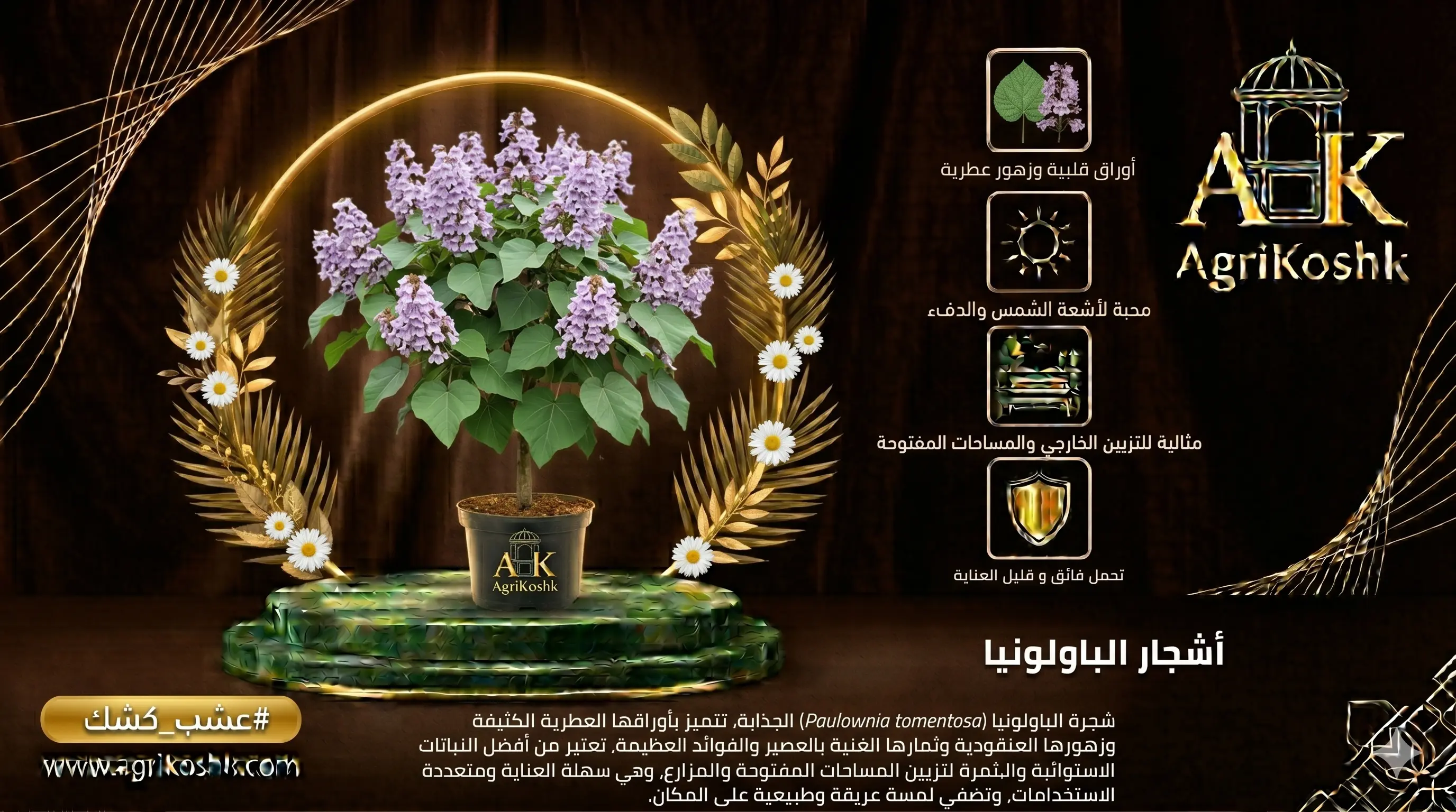 شتلات أشجار الباولونيا الفاخرة (أسرع شجرة نمواً في العالم) - مشروع الاستثمار الخشبي الإعجازي والظل الإمبراطوري العملاق من "أجري كشك"