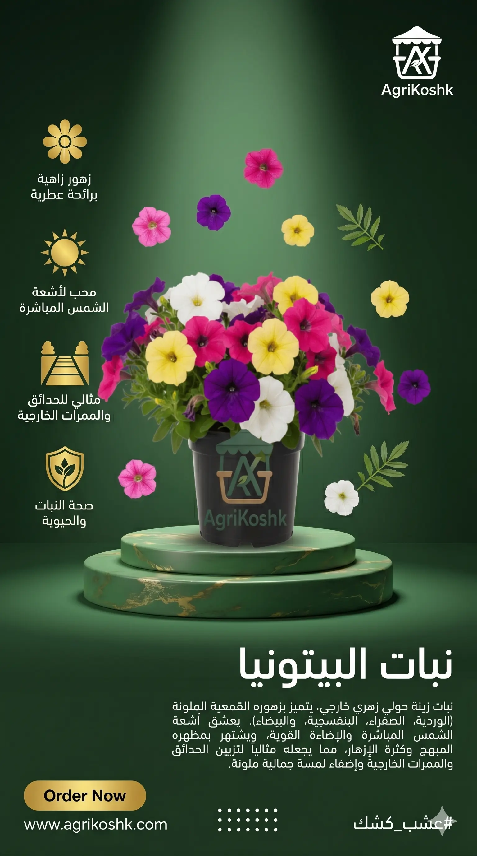 شتلات نبات البيتونيا المتدلية الفاخرة - شلالات الألوان الزاهية لبلكونة ساحرة وحديقة مبهجة من "أجري كشك"