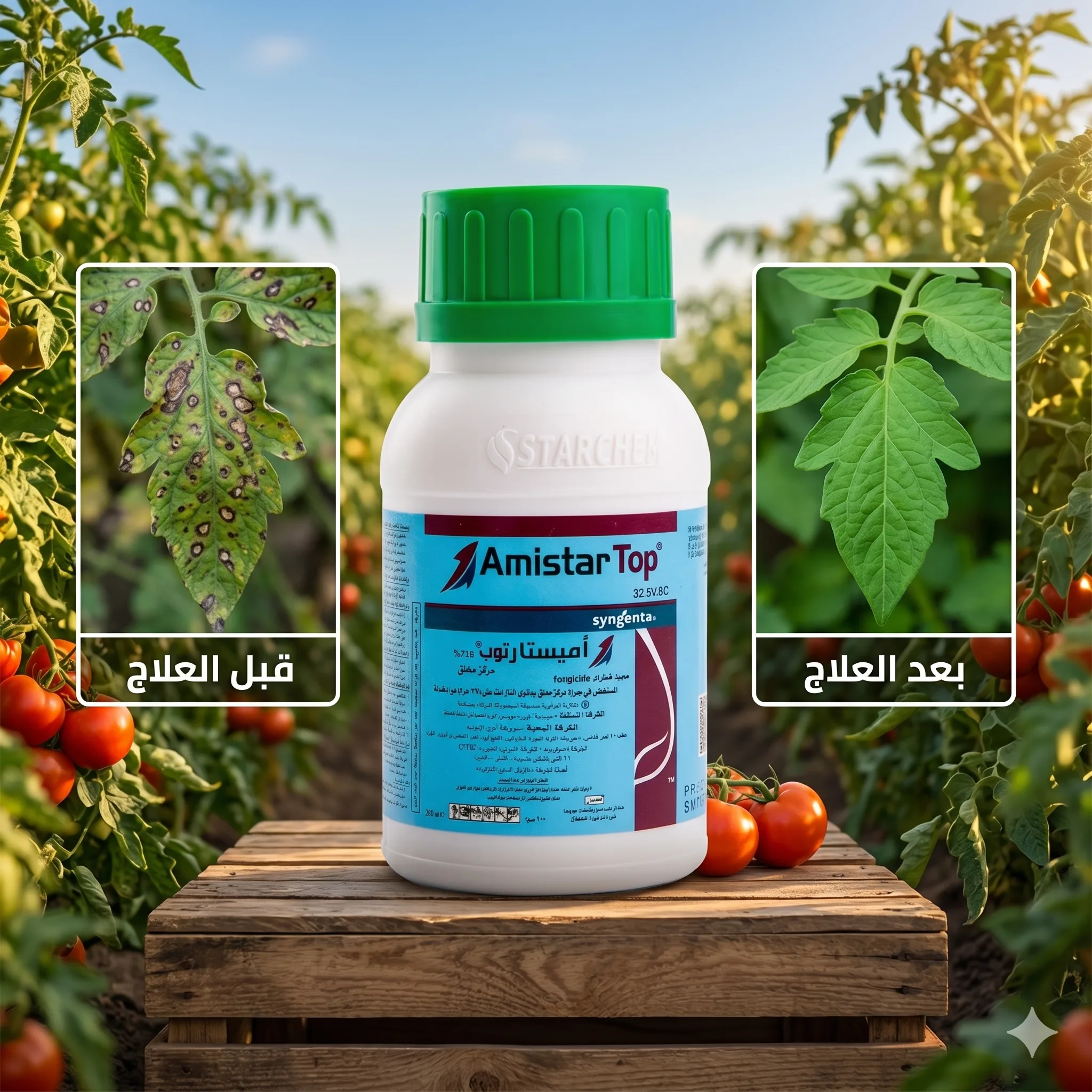 مبيد اميستار توب 200 سم (Amistar Top) - الإمبراطور السويسري لمكافحة البياض والندوات