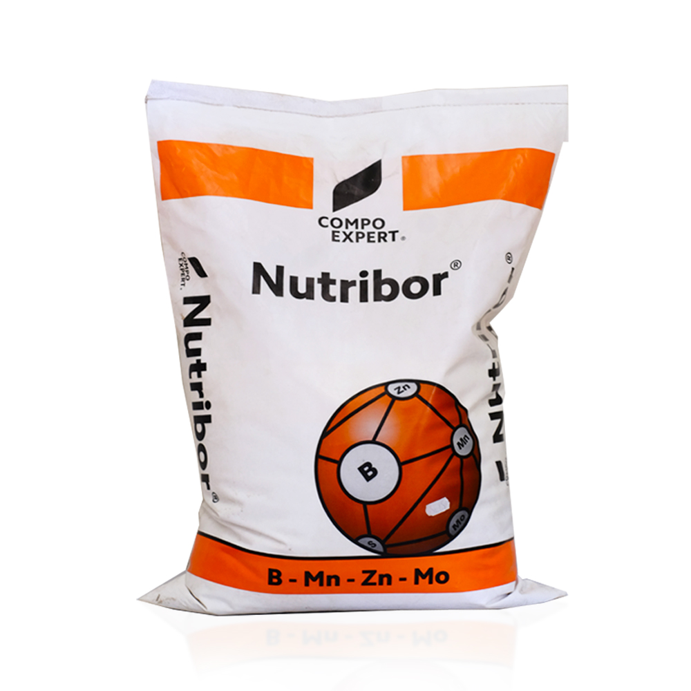 سماد نوتريبور 15 كجم (Nutribor) - العبوة الجامبو الاقتصادية لتثبيت العقد ورفع إنتاجية محاصيل السكر والزيوت